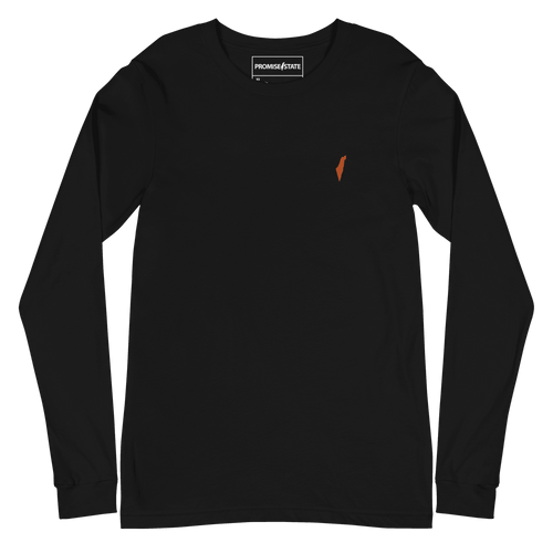 Graphic tee, graphic shirt, graphic longsleeve, longsleeve, new shirt, winter shirt, autumn shirt, spring shirt, israel gift, judaica shop, streetwear, christian clothing, christian brand, palestine brand, israel brand, trending brand, pesach, rosh hashana, shirt, t-shirt, long-sleeve