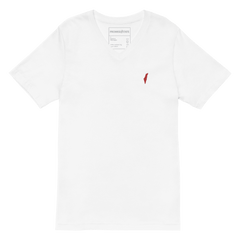 hannukah gift, chanukah gift, hanukah gift, pesach gift, Rosh Hashana gift