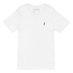 Yom hatzmaut shirt, yom hatmaut t-shirt, yom hatzmaut v-neck, pesach shirt, shabbat shirt