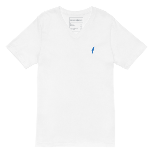 Yom hatzmaut shirt, yom hatmaut t-shirt, yom hatzmaut v-neck, pesach shirt, shabbat shirt
