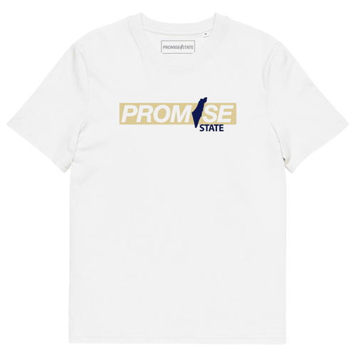 Promise State, kith, alo, ralph lauren, lacoste, brooks brothers, calvin klien, fila, nike, north face, champion, american eagle. graphic tee, graphic shirt, graphic, logo shirt, new shirt, trending brand