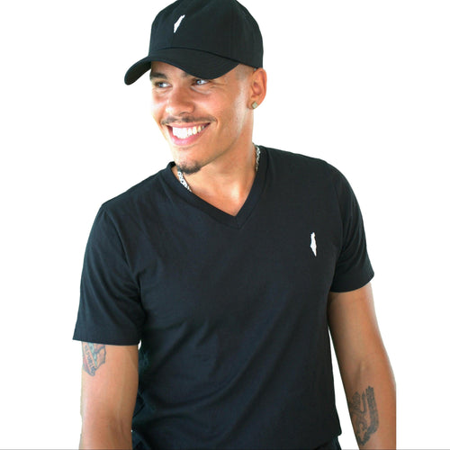 israel T-shirt, jewish t-shirt, jewish v-neck, mens gift, mens v-neck, Israel v-neck, Noah shufatinsky, westside gravy