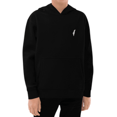 childrens hoodie, kids, hoodie, jumper, hood, sweatshirt, israel hoodie, religion, new hoodie, new jumper, trending jumper, trending hoodie, childrens jumper, essentials hoodie, essentials hood, kids clothing, childrens clothes, teenager hoodie, teenager, zionism
