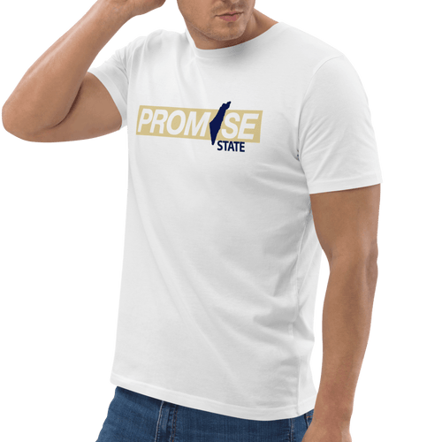 Promise State, kith, alo, ralph lauren, lacoste, brooks brothers, calvin klien, fila, nike, north face, champion, american eagle. graphic tee, graphic shirt, graphic, logo shirt, new shirt, trending brand