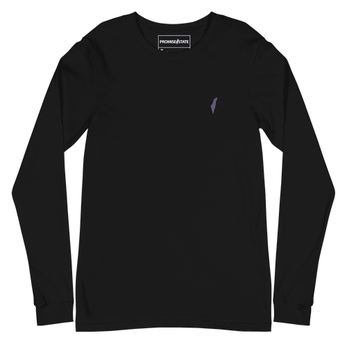 Graphic tee, graphic shirt, graphic longsleeve, longsleeve, new shirt, winter shirt, autumn shirt, spring shirt, israel gift, judaica shop, streetwear, christian clothing, christian brand, palestine brand, israel brand, trending brand, pesach, rosh hashana, shirt, t-shirt, long-sleeve