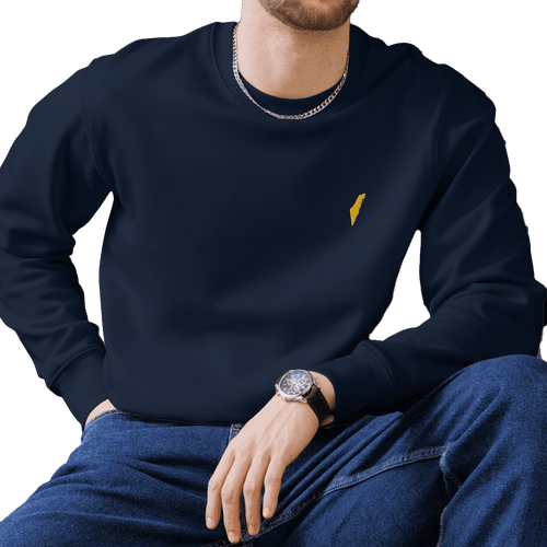 sweatshirt, sweater, israel sweater, israel sweatshirt, jewish sweater, israel emblem sweater, pullover, casual top, fleece sweatshirt, men's sweatshirt, graphic sweatshirt, crew neck sweatshirt, long-sleeve sweatshirt, comfortable sweatshirt for everyday wear, best sweatshirts for cold weather,  zionist sweatshirt, zionist pullover