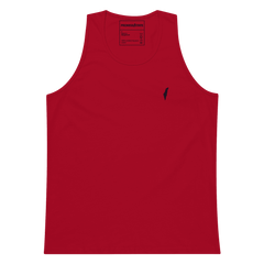 summer in israel, israel program, program in israel, study abroad israel, learn in israel, learn hebrew, flights to israel, weather in israel