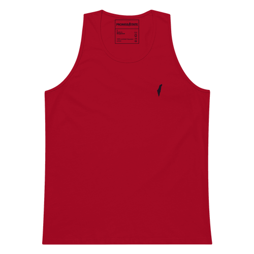 summer in israel, israel program, program in israel, study abroad israel, learn in israel, learn hebrew, flights to israel, weather in israel