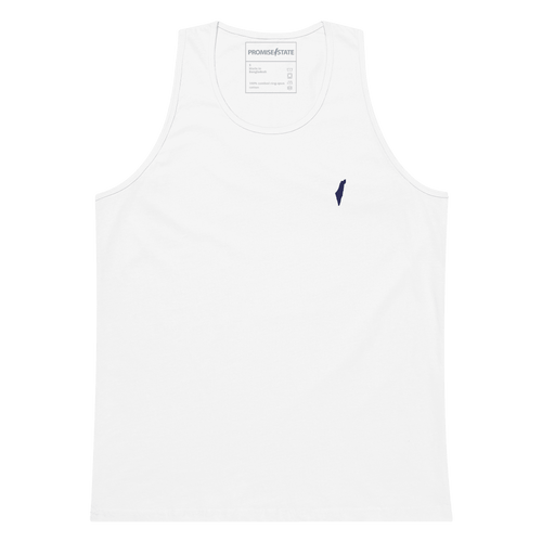 summer in israel, israel program, program in israel, study abroad israel, learn in israel, learn hebrew, flights to israel, weather in israel