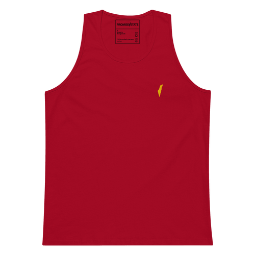 summer in israel, israel program, program in israel, study abroad israel, learn in israel, learn hebrew, flights to israel