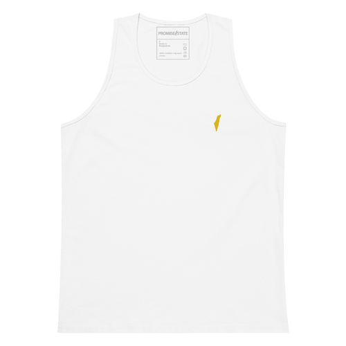 summer in israel, israel program, program in israel, study abroad israel, learn in israel, learn hebrew, flights to israel, weather in israel