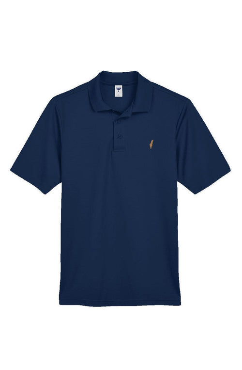 Ralph Lauren, tommy hilfiger, brooks brothers, lacoste, alo, performance, sports polo, polo, polo top, polo shirt, israel polo, jewish polo, zionist polo, golf polo, golf top, golf shirt, golfers shirt, golfing shirt, gift for men, gift for jewish man, ralph