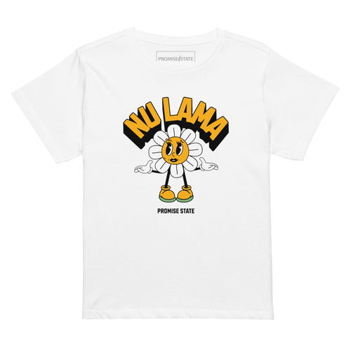 Tel-Aviv, Jerusalem, Bet shemesh, Ranana, Modiin, Carmei Gat, Rosh Hashana 2025, Rosh Hashana 2026, Purim 2026, Hanukkah 2025, Graphic tee, Graphic shirt, Graphic t-shirt, Promise State, מדינה מבטיחה, פרומיס פרומיס סטייט, פרמיס סטייט, Nu lama, pray, aish, Olami, birthright, masa, Israel Experience, aepi, aipac, jews, jewish gift, jewish present, judaica, bring them home, hostages, free the hostages, yellow ribbon, star of david