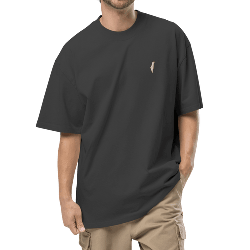 Torah, judaic store, jewish store, israel brand, israel t-shirt, israel shirt, star of david, map of israel, israel borders, christian clothing, palestinian clothing, palestine, christian, hindu, oversized, streetwear, essentials, fear of god, ralph lauren, lacoste, brooks brother, alo, shirt