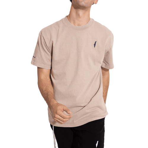 Torah, judaic store, jewish store, israel brand, israel t-shirt, israel shirt, star of david, map of israel, israel borders, christian clothing, palestinian clothing, palestine, christian, hindu, oversized, streetwear, essentials, fear of god, ralph lauren, lacoste, brooks brother, alo, shirt