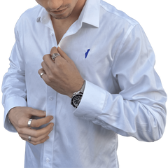 Formal shirt, button down, sports shirt, ralph lauren, lacoste, brooks brothers, calven klein, polo, ralph, israel shirt, israel formal shirt, shabbos shirt, shabbat shirt, high holidays, pesach shirt, rosh hashana