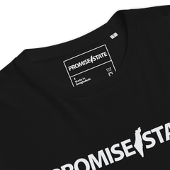 Pormise, state, promise state, graphic tee, graphic shirt, graphic t-shirt, promise state shirt, promise state t-shirt, organic cotton, eco friendly, Israel t-shirt, israel shirt, zionist shirt, jewish shirt, israel top, jewish top, jewish gift for men, clothing, israel tee