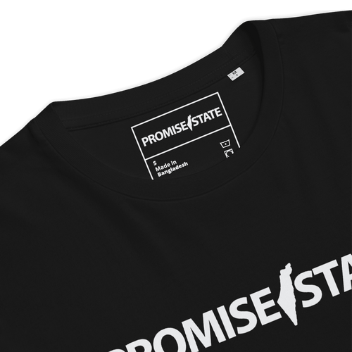 Pormise, state, promise state, graphic tee, graphic shirt, graphic t-shirt, promise state shirt, promise state t-shirt, organic cotton, eco friendly, Israel t-shirt, israel shirt, zionist shirt, jewish shirt, israel top, jewish top, jewish gift for men, clothing, israel tee