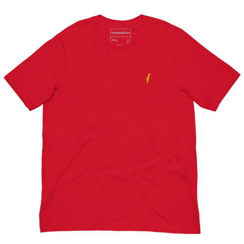 comfortable t-shirt for everyday wear, stylish graphic t-shirt for men, soft cotton t-shirt for women, affordable t-shirts online, best t-shirts for summer, jewish shirt for summer, jewish tee for summer, shirt for israel, clothes for israel, miami tee, los angeles tee, new york tee, white plain t-shirt for men, black crew neck t-shirt for men, mens basics, jewish mens basics, israeli mens basics