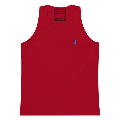 America, USA, American jew, Jewish American, AIPAC, AEPi, UJC, Trump