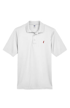 Ralph Lauren, tommy hilfiger, brooks brothers, lacoste, alo, performance, sports polo, polo, polo top, polo shirt, israel polo, jewish polo, zionist polo, golf polo, golf top, golf shirt, golfers shirt, golfing shirt, gift for men, gift for jewish man, ralph