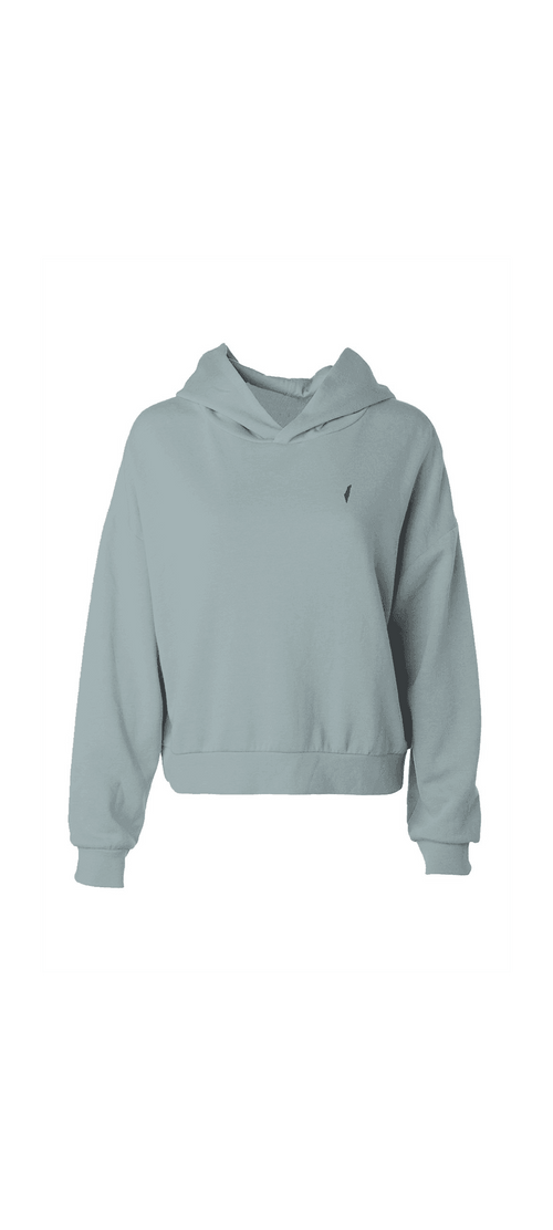 Israel emblem hoodie, israeli emblem hood