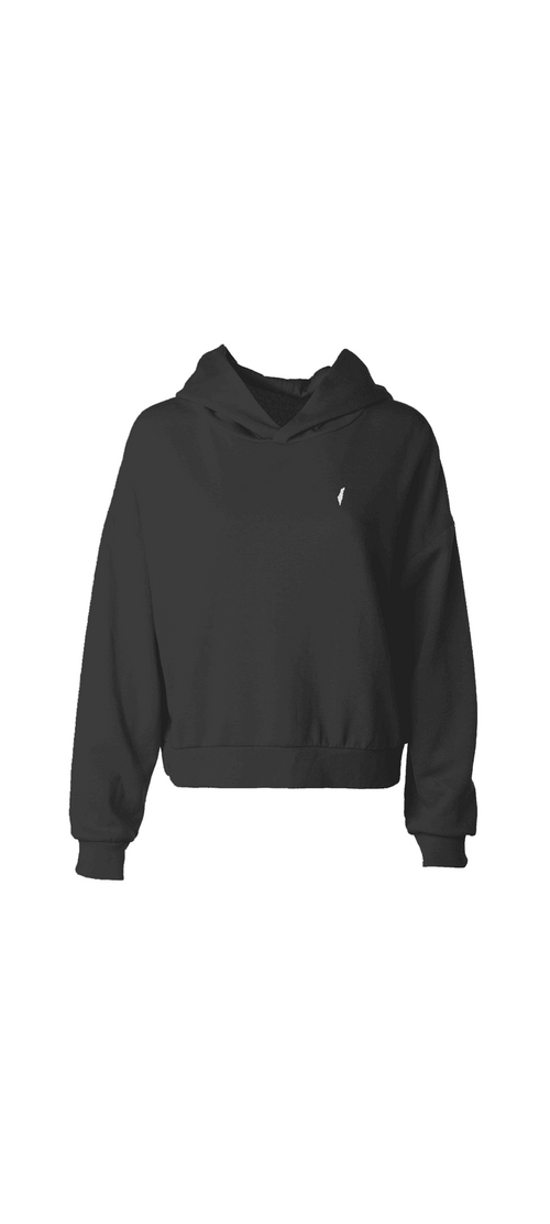 Israel emblem, Israeli emblem hoodie, essential hoodie