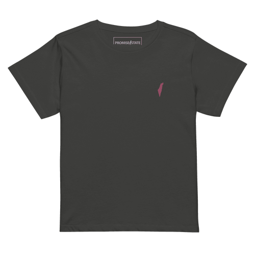 Israel shirt, Israel tee, Israel t-shirt, mayim Bailik, debra messing, montana tucker, lizzy savetsky, mariah carey, israeli women, jewish women, women in the IDF, jewess, jewish princess, gal gadot, essential tee, womens clothing, israeli clothing, jewish clothing, vintage, streetwear