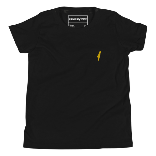 childrens Israel tee-shirt