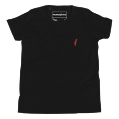 Childrens black israel t-shirt