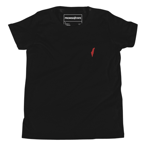 Childrens black israel t-shirt