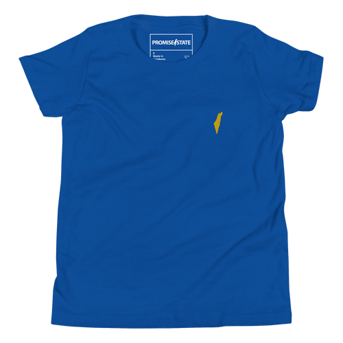 Blue israel t-shirt, blue jewish tee