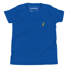 Blue israel t-shirt, blue jewish tee