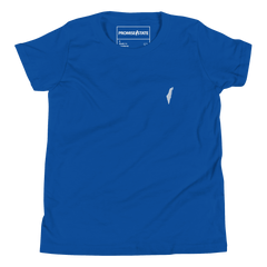 kiids Blue israel tee