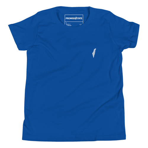 kiids Blue israel tee