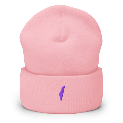 Promise State beanie