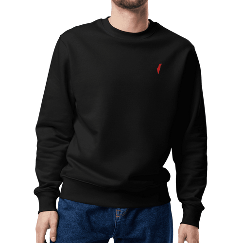 sweatshirt, sweater, israel sweater, israel sweatshirt, jewish sweater, israel emblem sweater, pullover, casual top, fleece sweatshirt, men's sweatshirt, graphic sweatshirt, crew neck sweatshirt, long-sleeve sweatshirt, comfortable sweatshirt for everyday wear, best sweatshirts for cold weather,  zionist sweatshirt, zionist pullover