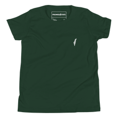 Green kids israel tee