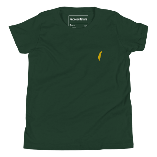 kids Israel shirt, jewish shirt