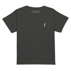 Israel shirt, Israel tee, Israel t-shirt, mayim Bailik, debra messing, montana tucker, lizzy savetsky, mariah carey, israeli women, jewish women, women in the IDF, jewess, jewish princess, gal gadot, essential tee, womens clothing, israeli clothing, jewish clothing