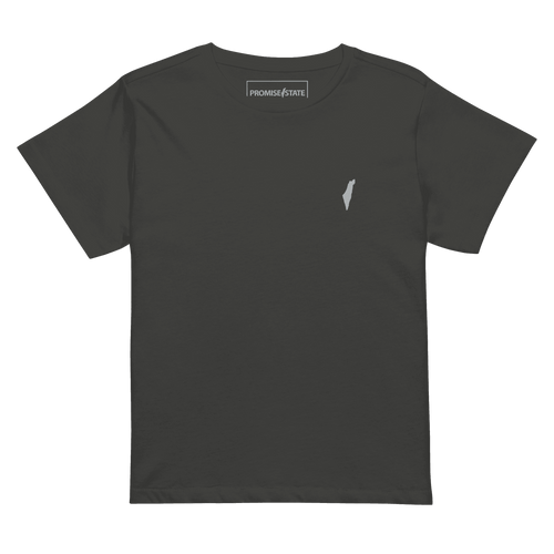 Israel shirt, Israel tee, Israel t-shirt, mayim Bailik, debra messing, montana tucker, lizzy savetsky, mariah carey, israeli women, jewish women, women in the IDF, jewess, jewish princess, gal gadot, essential tee, womens clothing, israeli clothing, jewish clothing