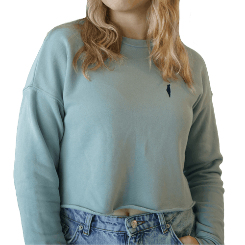streetwear, cropped top, crop top, crop sweatshirt, cropped sweatshirt, cropped shirt, sweatsets. sweatshirt, vintage look, matching sweats, womens crop top, womens cropped sweatshirt, womens cropped shirt