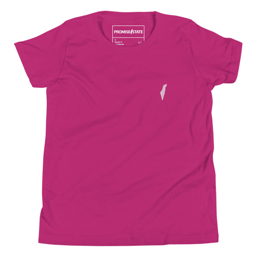 Childrens pink israel tee, pink jewish tee