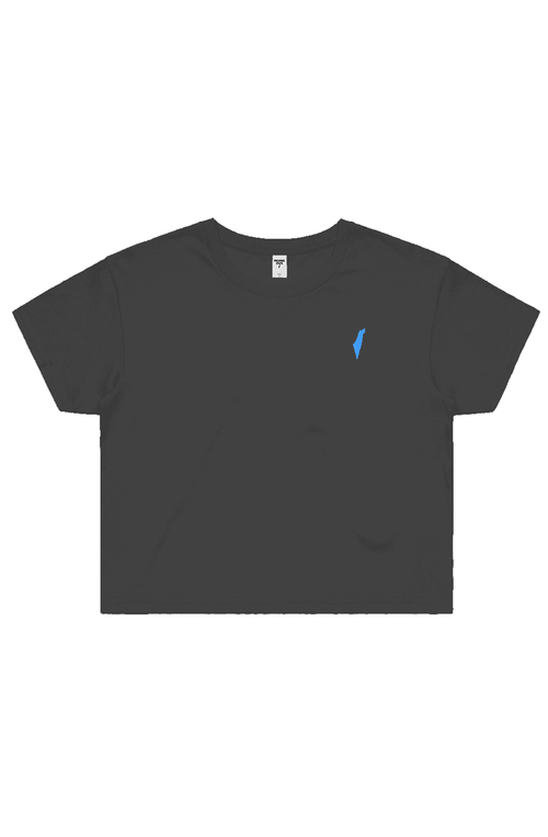 Cropped tee, crop top, short tee, cut off t-shirt, cropped t-shirt, short top, womens top, girls top, womens cropped tee, graphic cropped tee, israel cropped tee, israel crop top, jewish cropped tee, jewish crop top, zionist crop top, short sleeve crop top, basic crop top