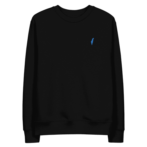 sweatshirt, sweater, israel sweater, israel sweatshirt, jewish sweater, israel emblem sweater, pullover, casual top, fleece sweatshirt, men's sweatshirt, graphic sweatshirt, crew neck sweatshirt, long-sleeve sweatshirt, comfortable sweatshirt for everyday wear, best sweatshirts for cold weather,  zionist sweatshirt, zionist pullover