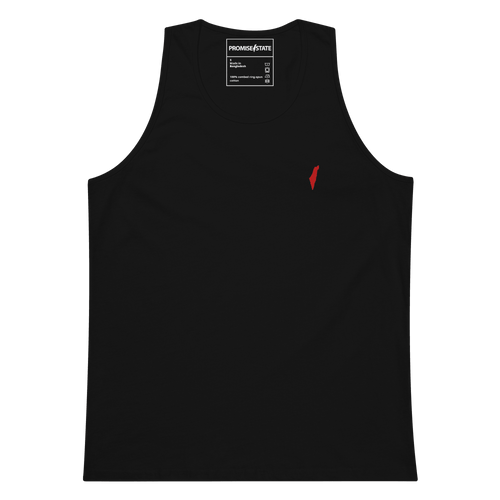 Israel tank top, trump, trump colors, america shirt, USA shirt, elon musk