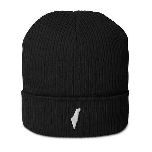 Promise State Beanie
