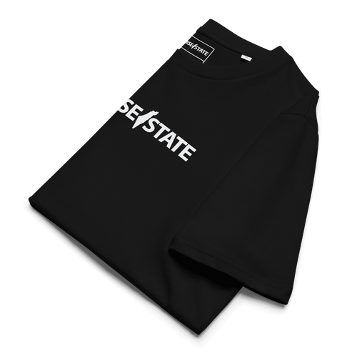 Pormise, state, promise state, graphic tee, graphic shirt, graphic t-shirt, promise state shirt, promise state t-shirt, organic cotton, eco friendly, Israel t-shirt, israel shirt, zionist shirt, jewish shirt, israel top, jewish top, jewish gift for men, clothing, israel tee