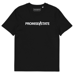 Pormise, state, promise state, graphic tee, graphic shirt, graphic t-shirt, promise state shirt, promise state t-shirt, organic cotton, eco friendly, Israel t-shirt, israel shirt, zionist shirt, jewish shirt, israel top, jewish top, jewish gift for men, clothing, israel tee