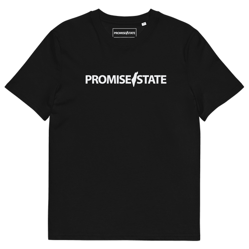 Pormise, state, promise state, graphic tee, graphic shirt, graphic t-shirt, promise state shirt, promise state t-shirt, organic cotton, eco friendly, Israel t-shirt, israel shirt, zionist shirt, jewish shirt, israel top, jewish top, jewish gift for men, clothing, israel tee